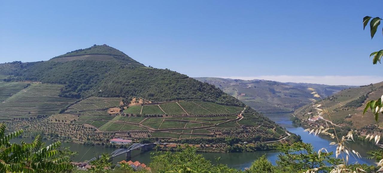 הוילה Casal de Loivos Casa Do Jornaleiro - Douro - Quinta Da Cabrida מראה חיצוני תמונה