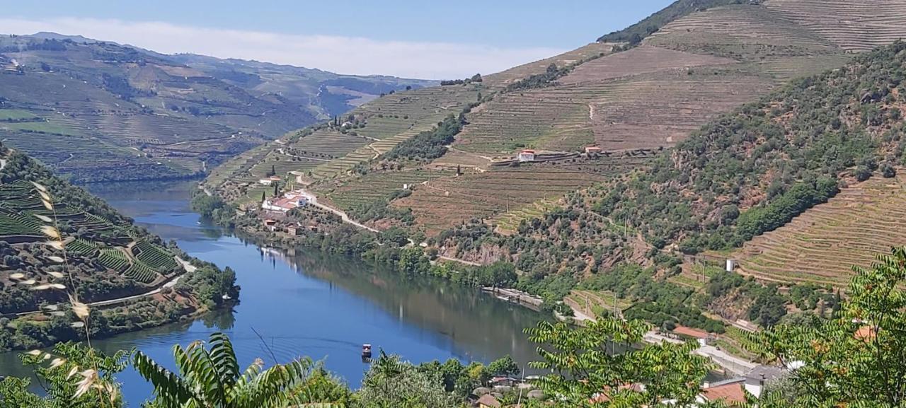 הוילה Casal de Loivos Casa Do Jornaleiro - Douro - Quinta Da Cabrida מראה חיצוני תמונה